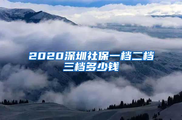 2020深圳社保一档二档三档多少钱