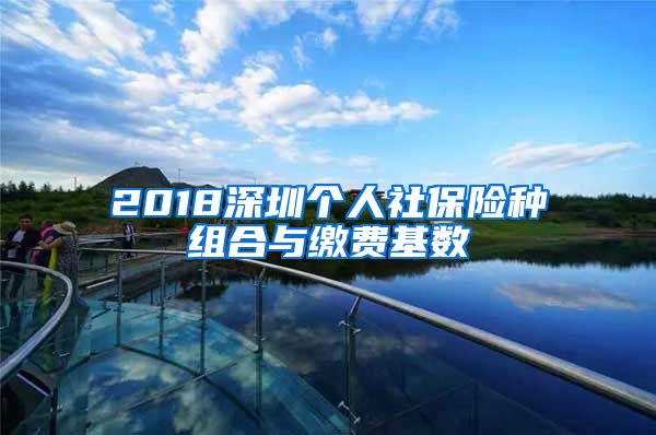 2018深圳个人社保险种组合与缴费基数