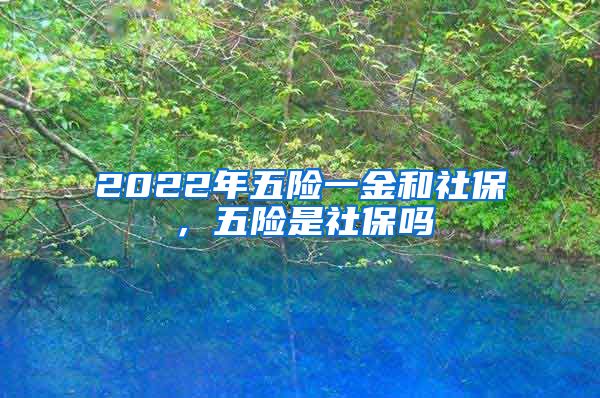 2022年五险一金和社保，五险是社保吗