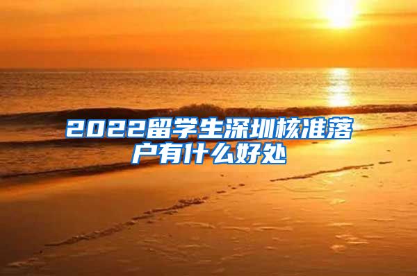 2022留学生深圳核准落户有什么好处