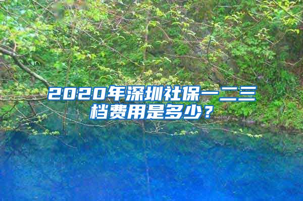 2020年深圳社保一二三档费用是多少？