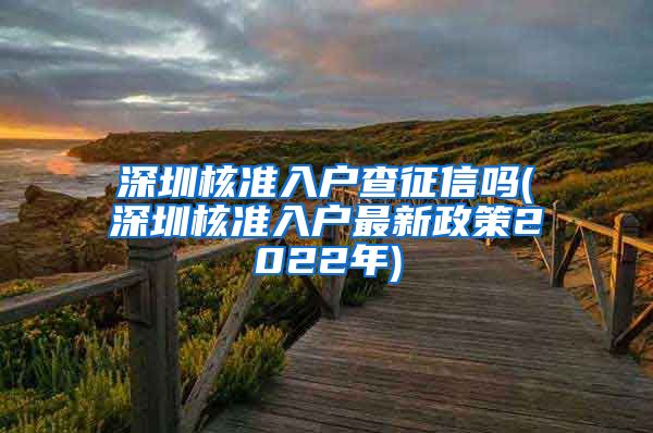 深圳核准入户查征信吗(深圳核准入户最新政策2022年)