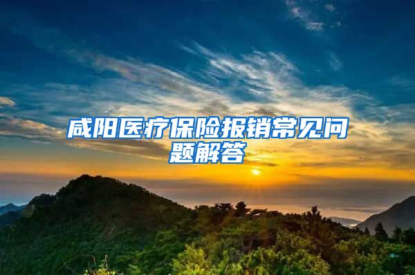 咸阳医疗保险报销常见问题解答