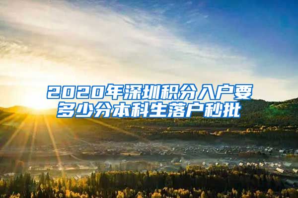 2020年深圳积分入户要多少分本科生落户秒批