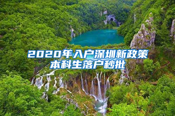 2020年入户深圳新政策本科生落户秒批