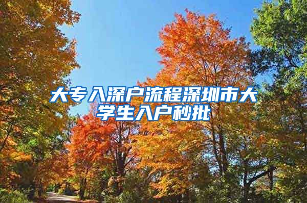 大专入深户流程深圳市大学生入户秒批