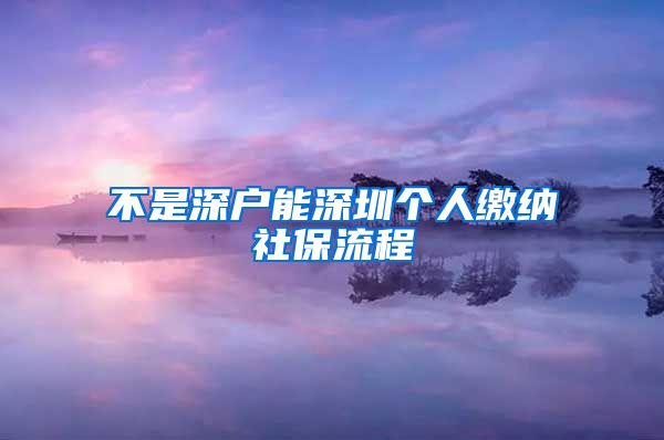 不是深户能深圳个人缴纳社保流程