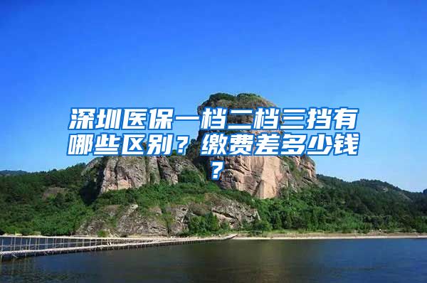 深圳医保一档二档三挡有哪些区别？缴费差多少钱？