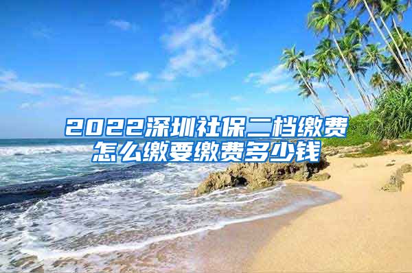 2022深圳社保二档缴费怎么缴要缴费多少钱