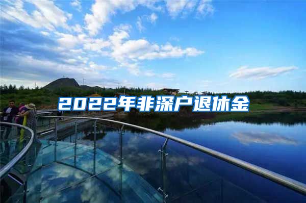 2022年非深户退休金