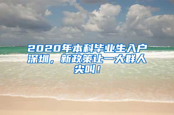 2020年本科毕业生入户深圳，新政策让一大群人尖叫！