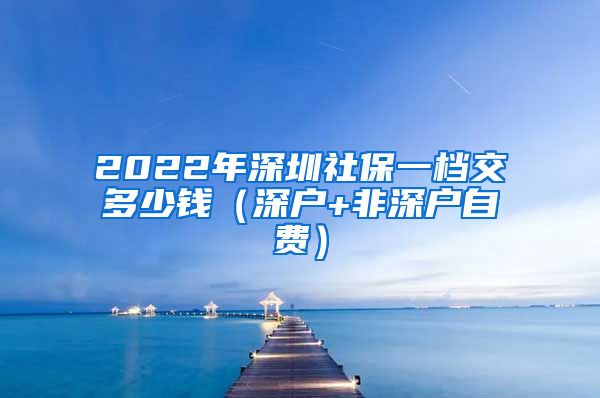 2022年深圳社保一档交多少钱（深户+非深户自费）