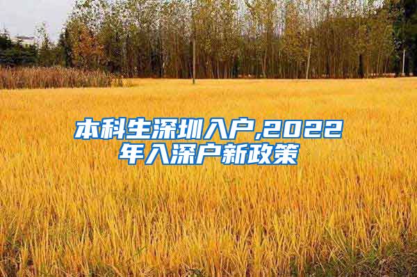 本科生深圳入户,2022年入深户新政策