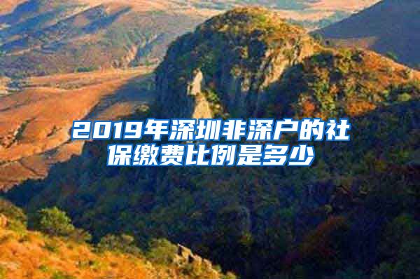 2019年深圳非深户的社保缴费比例是多少