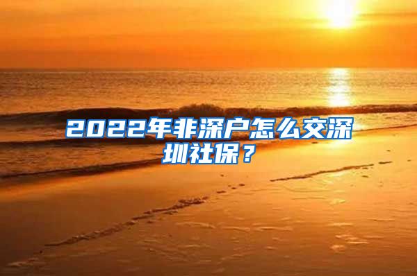 2022年非深户怎么交深圳社保？