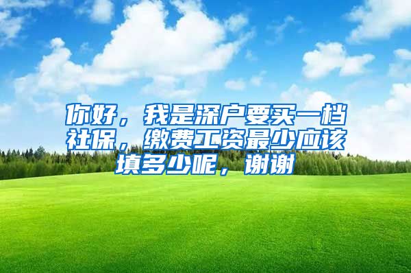 你好，我是深户要买一档社保，缴费工资最少应该填多少呢，谢谢