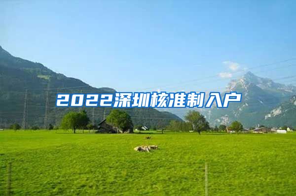 2022深圳核准制入户