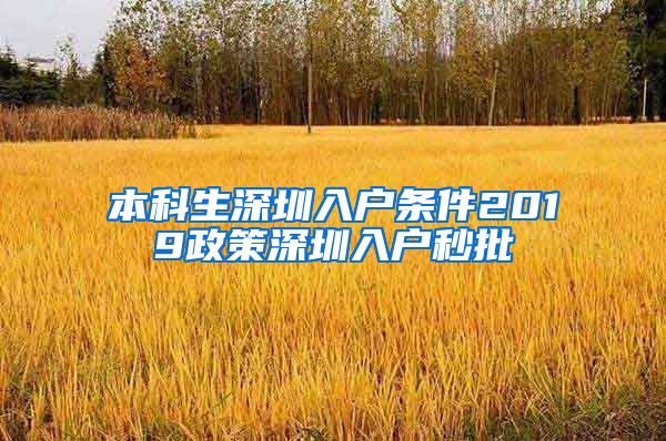 本科生深圳入户条件2019政策深圳入户秒批