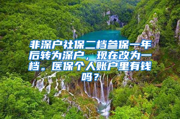 非深户社保二档参保一年后转为深户，现在改为一档。医保个人账户里有钱吗？