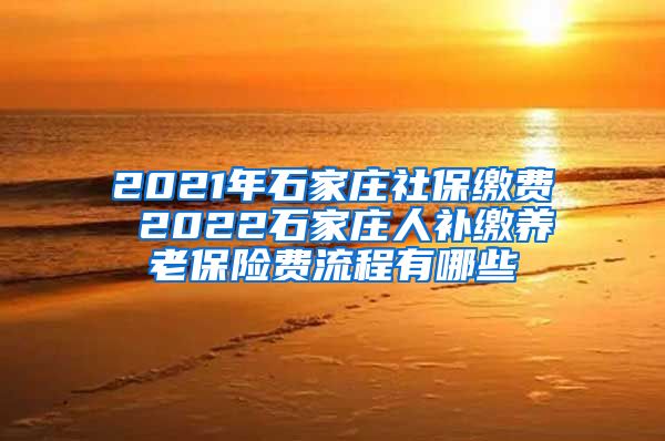 2021年石家庄社保缴费 2022石家庄人补缴养老保险费流程有哪些