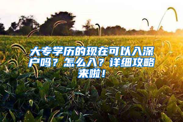 大专学历的现在可以入深户吗？怎么入？详细攻略来啦！