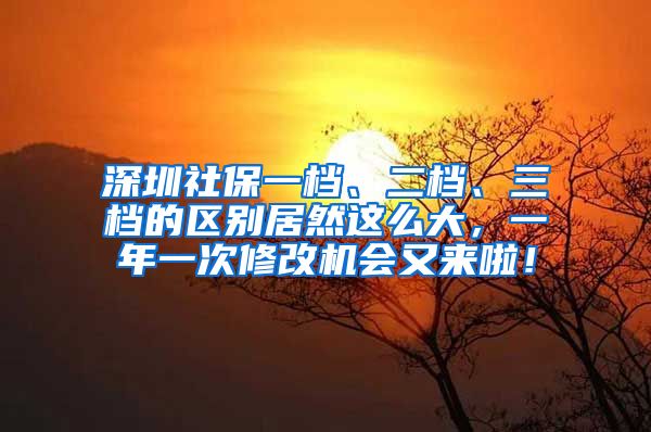 深圳社保一档、二档、三档的区别居然这么大，一年一次修改机会又来啦！