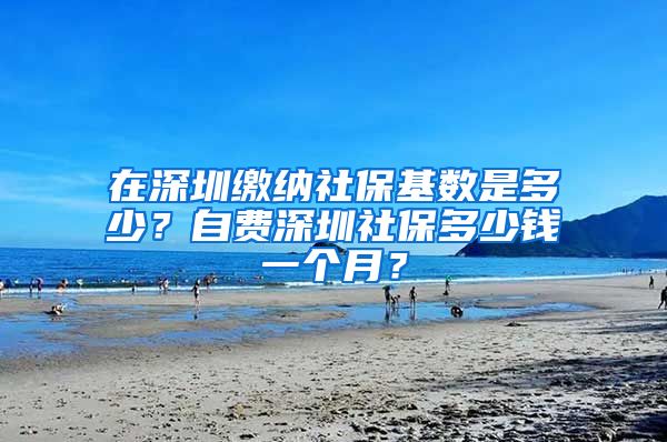 在深圳缴纳社保基数是多少？自费深圳社保多少钱一个月？