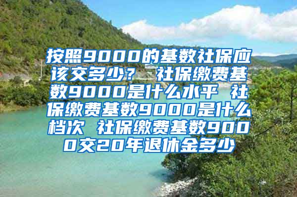 按照9000的基数社保应该交多少？ 社保缴费基数9000是什么水平 社保缴费基数9000是什么档次 社保缴费基数9000交20年退休金多少