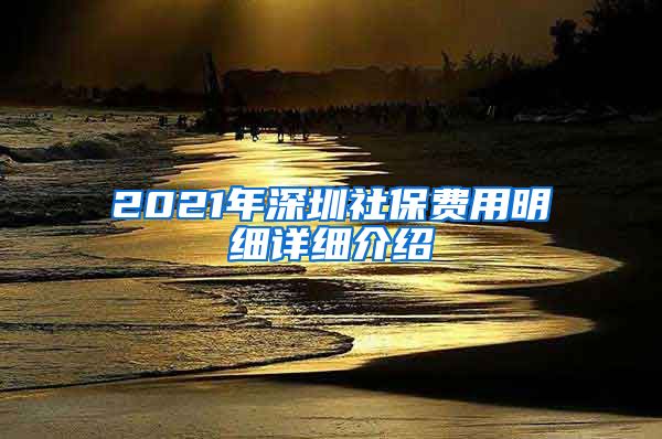 2021年深圳社保费用明细详细介绍