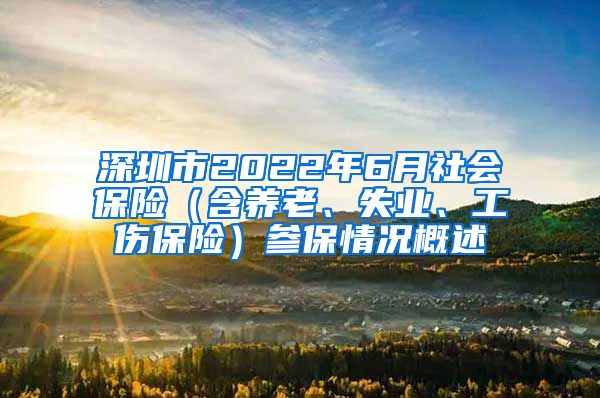 深圳市2022年6月社会保险（含养老、失业、工伤保险）参保情况概述