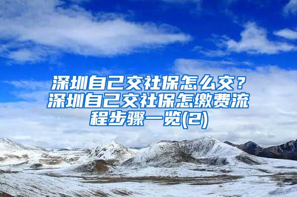 深圳自己交社保怎么交？深圳自己交社保怎缴费流程步骤一览(2)