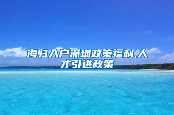 海归入户深圳政策福利,人才引进政策