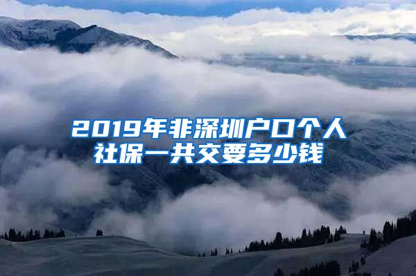 2019年非深圳户口个人社保一共交要多少钱