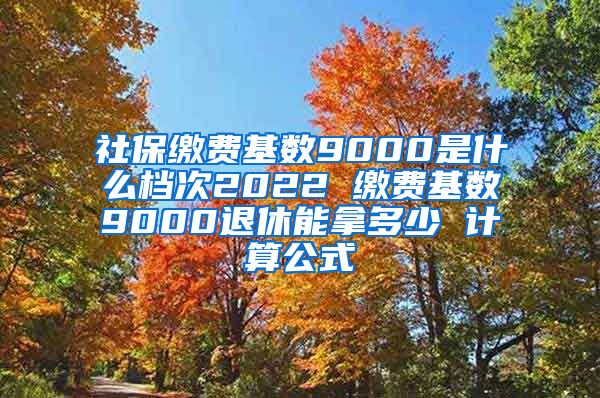 社保缴费基数9000是什么档次2022 缴费基数9000退休能拿多少 计算公式