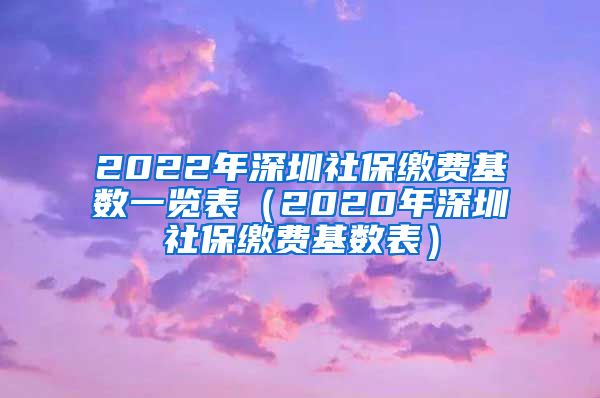 2022年深圳社保缴费基数一览表（2020年深圳社保缴费基数表）