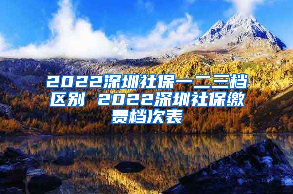 2022深圳社保一二三档区别 2022深圳社保缴费档次表