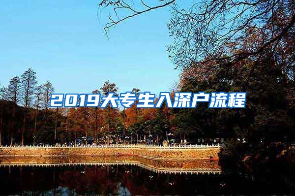 2019大专生入深户流程