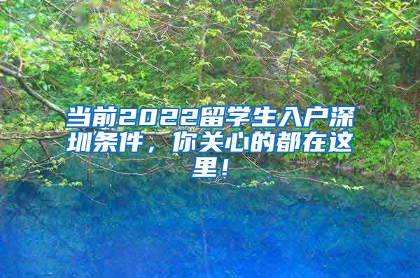 当前2022留学生入户深圳条件，你关心的都在这里！