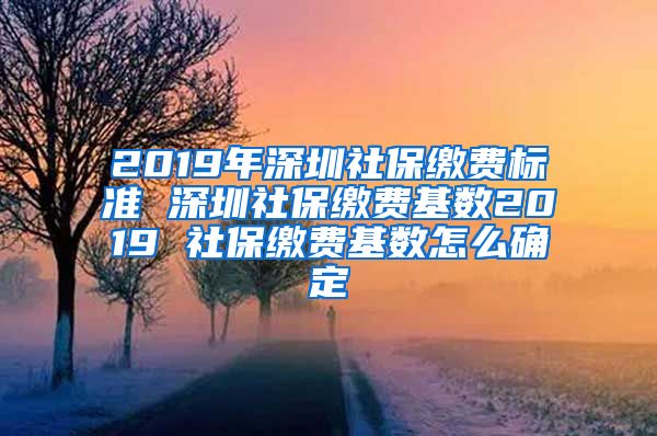 2019年深圳社保缴费标准 深圳社保缴费基数2019 社保缴费基数怎么确定