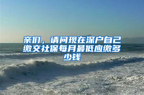 亲们，请问现在深户自己缴交社保每月最低应缴多少钱