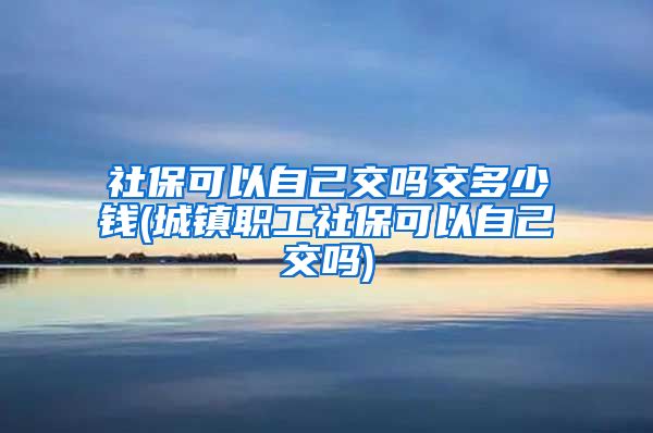 社保可以自己交吗交多少钱(城镇职工社保可以自己交吗)