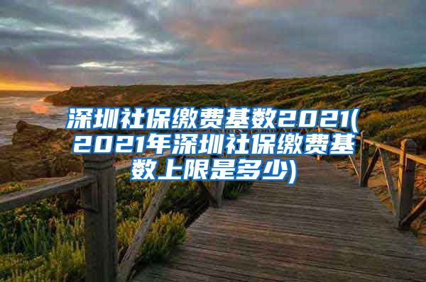 深圳社保缴费基数2021(2021年深圳社保缴费基数上限是多少)