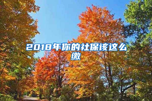 2018年你的社保该这么缴