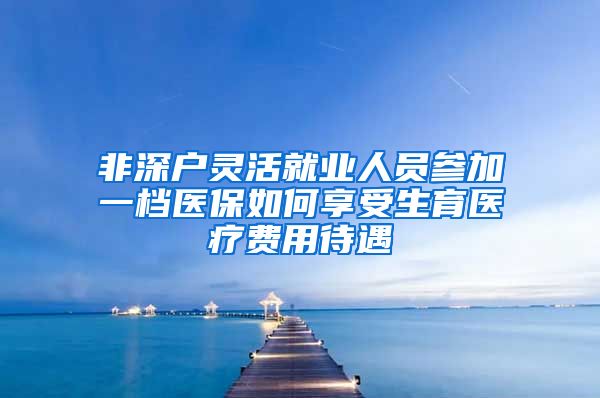 非深户灵活就业人员参加一档医保如何享受生育医疗费用待遇