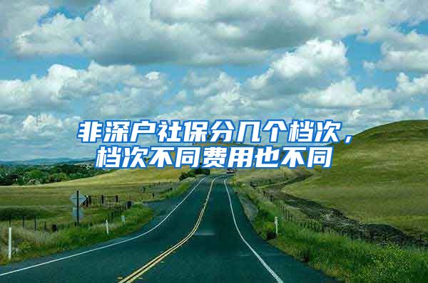 非深户社保分几个档次，档次不同费用也不同