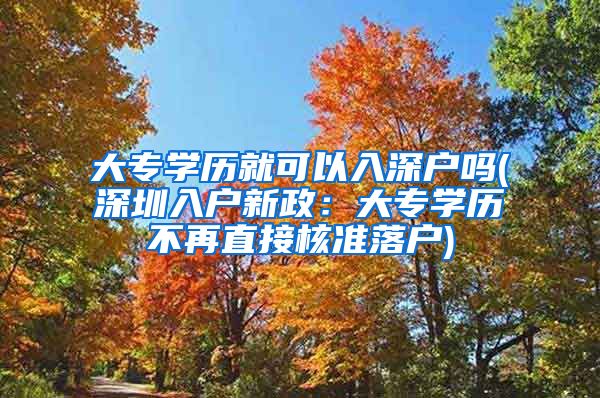 大专学历就可以入深户吗(深圳入户新政：大专学历不再直接核准落户)