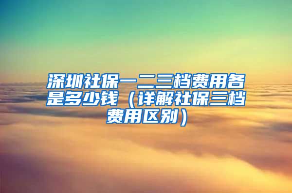 深圳社保一二三档费用各是多少钱（详解社保三档费用区别）