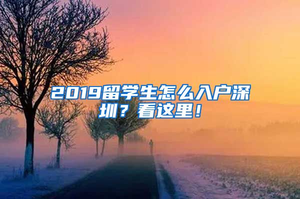 2019留学生怎么入户深圳？看这里！