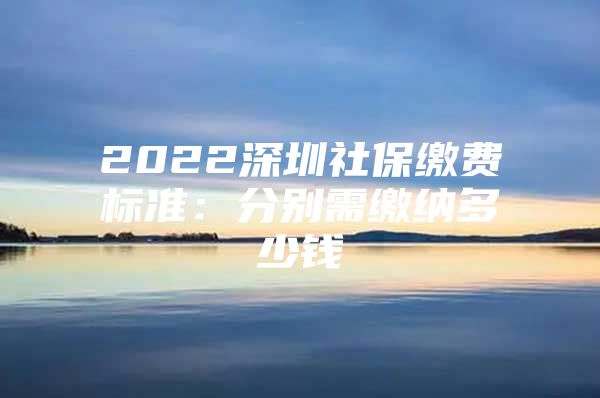 2022深圳社保缴费标准：分别需缴纳多少钱