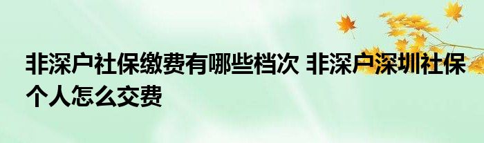 非深户社保缴费有哪些档次 非深户深圳社保个人怎么交费